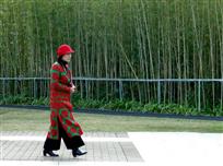 竹林与行人
