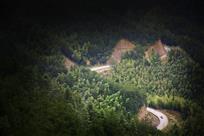 山路弯弯