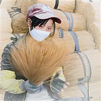 香芯姑娘