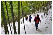 雪中行