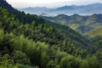 重山叠翠