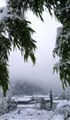 复兴瑞雪