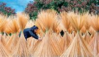 晒（竹编组图4）