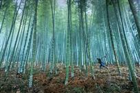 守山人