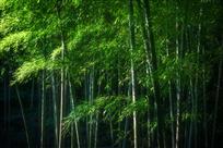 秘境