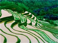 绿竹山寨