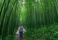 《竹林深处有人家》
