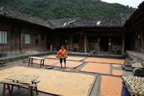 秋日农院
