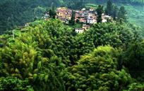 竹翠小山村