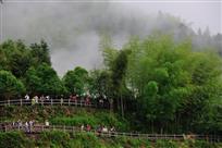 竹乡魅力