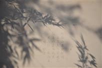 风竹