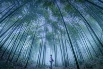 竹林仙境