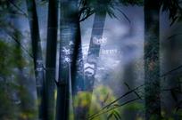竹映山村