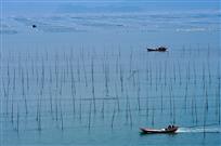 《蓝色海湾》