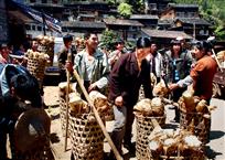 《竹乡收笋点》