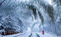 竹乡春雪