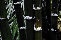 高风亮节
