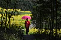 乡间小道