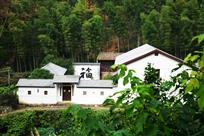 竹林福地