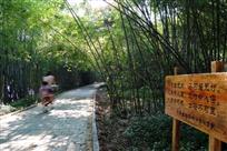 竹林绿道