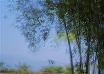 竹乡美景