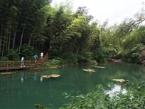 游竹海
