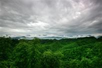 烟雨竹海