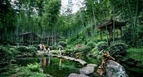 《竹林深处是我家》