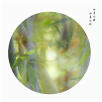 春竹