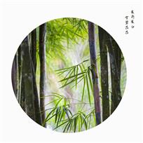 夏竹