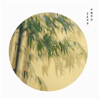 秋竹