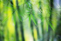 沁人心脾