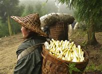 背上千家桌上肴