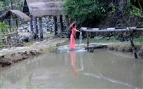 泉