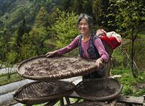 山村人家