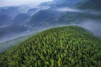 腑瞰竹山