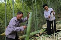 破竹制纸