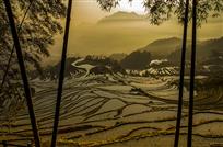 前程似景
