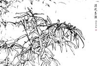 翠竹白描