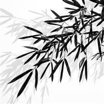 《竹韵》
