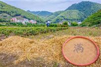 圆圆满满