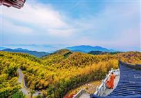 径山竹海-1