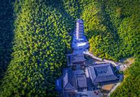 径山竹海-2