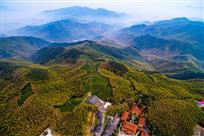 径山竹海-4