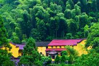 幽静禅寺