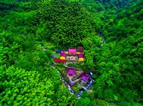 竹林深处有禅寺.