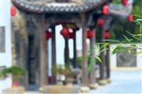 翠竹相伴