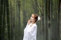 竹韵
