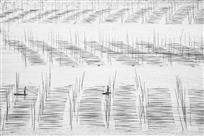 海上耕耘
