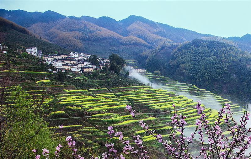 作品名称: 高山村落  作品描述:   拍摄地点: 安徽歙县长陔乡丰谷村